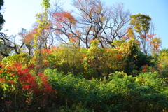 里山三色
