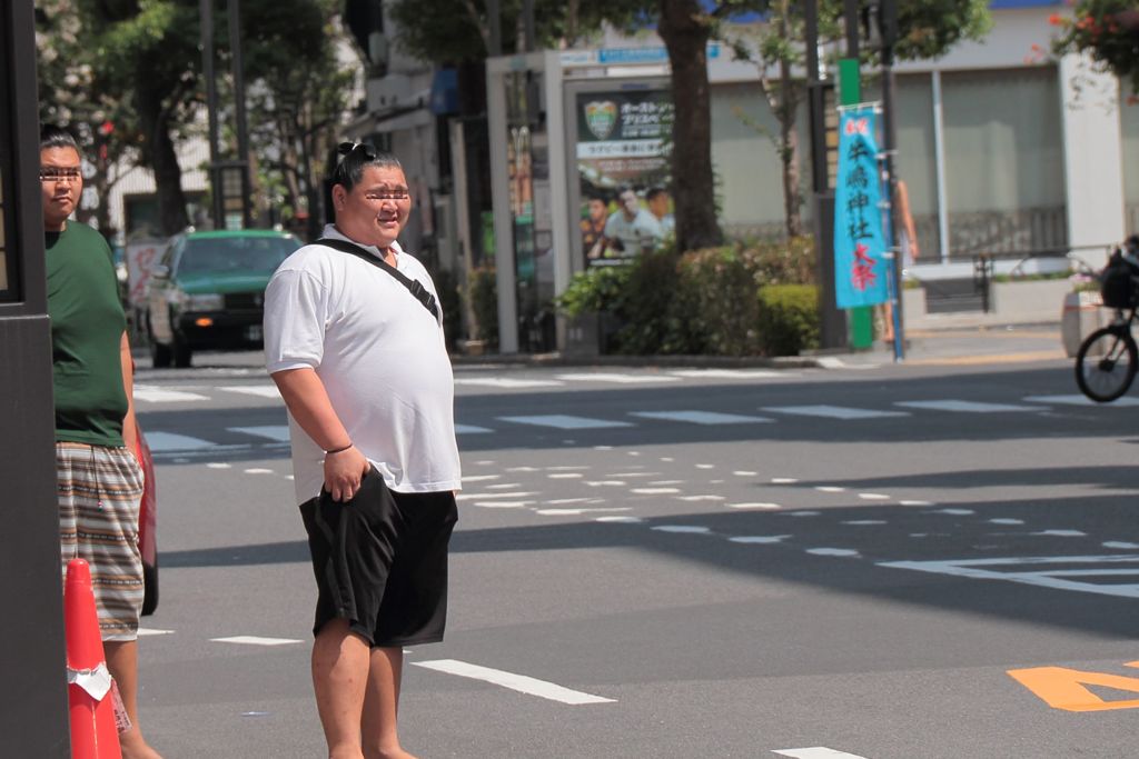 力士のいる風景３