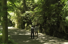 新緑を歩く