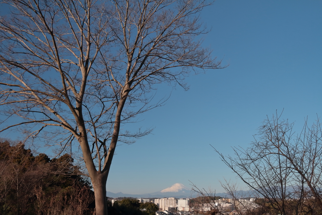 富士山遠景