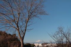 富士山遠景