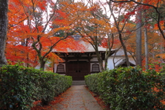 晩秋の真如堂4
