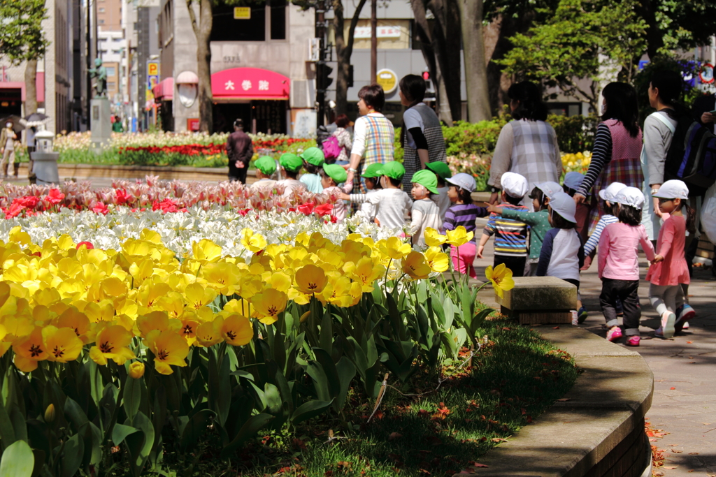 チューリップ組の散歩