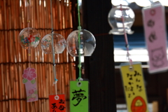 往く夏の一瞬