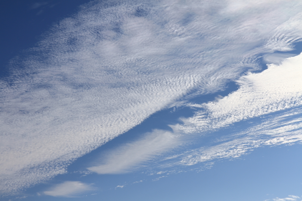 羊群れる秋空２