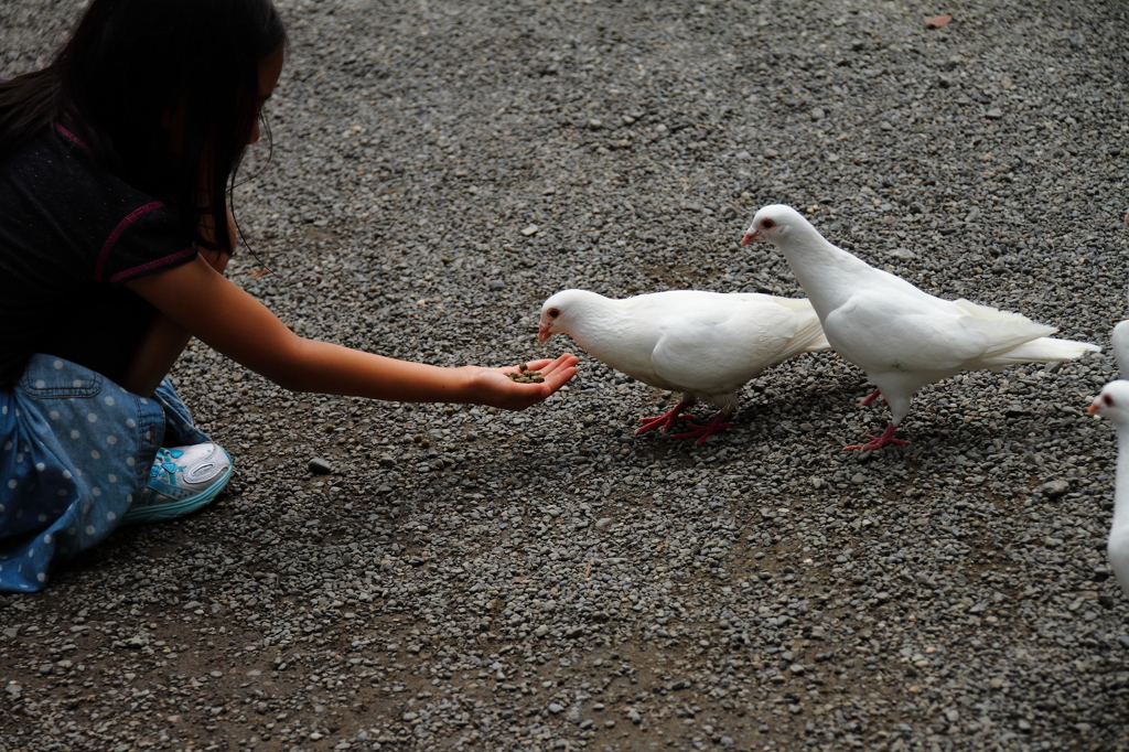ハイ、おあがり