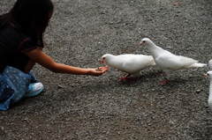 ハイ、おあがり