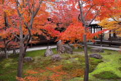 建仁寺錦秋４