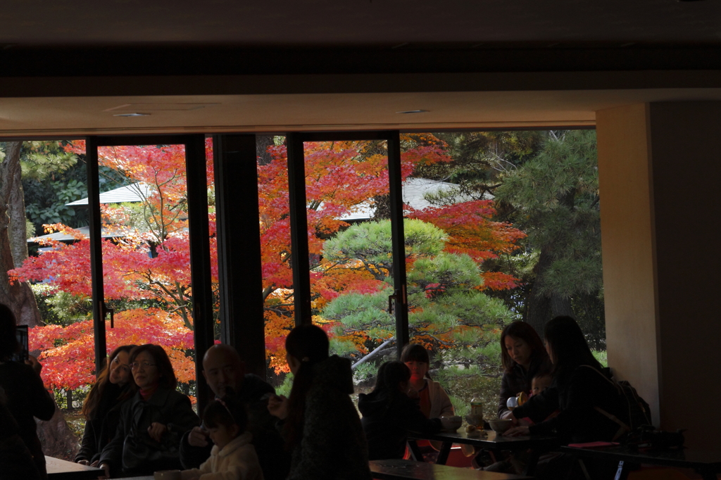 錦秋の横浜三渓園２