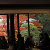 錦秋の横浜三渓園２