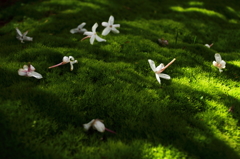 輝いていた記憶