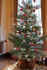 クリスマスツリー８