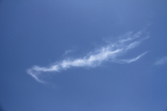 空を這うザリガニ