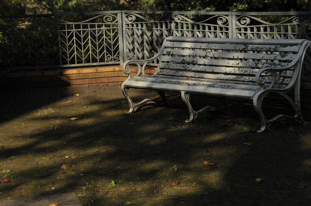 木漏れ日の午後