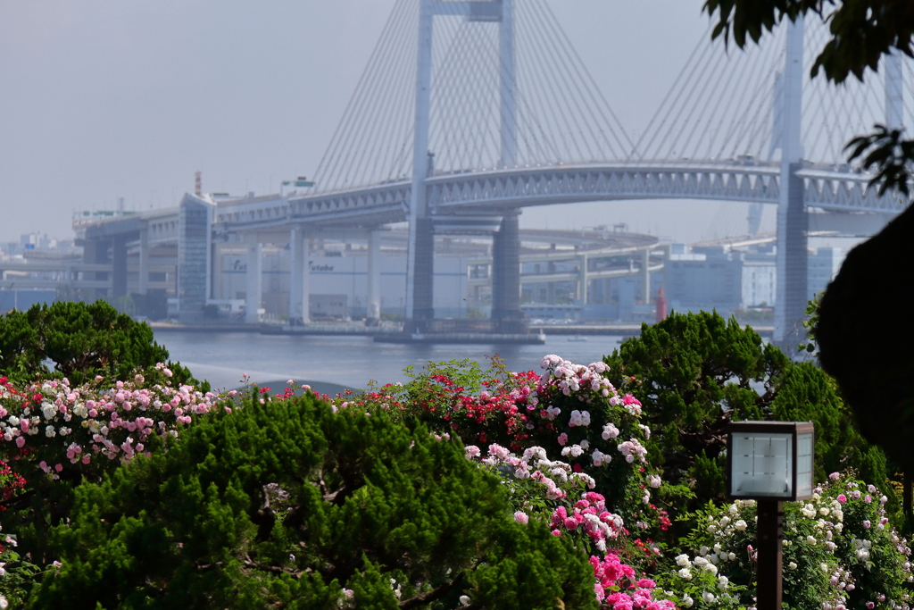 ベイブリッジ遠景