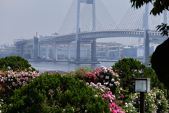 ベイブリッジ遠景