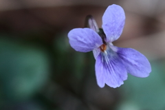 いつの間に？２