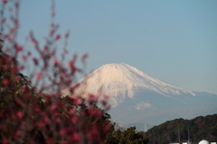 富士山眺望２