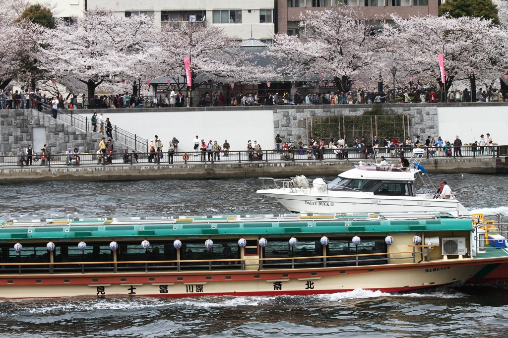 春のうららの