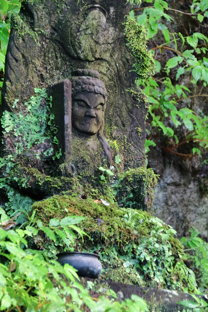 苔むす不動明王