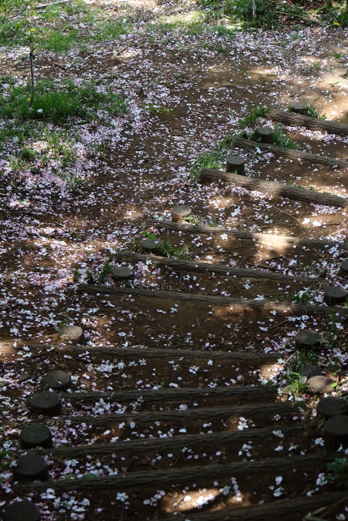 里山惜春2