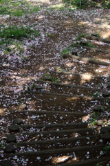 里山惜春2