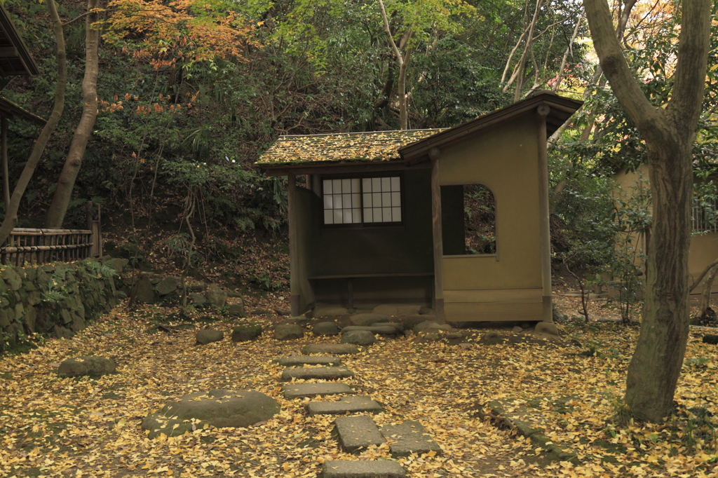 錦秋の横浜三渓園４