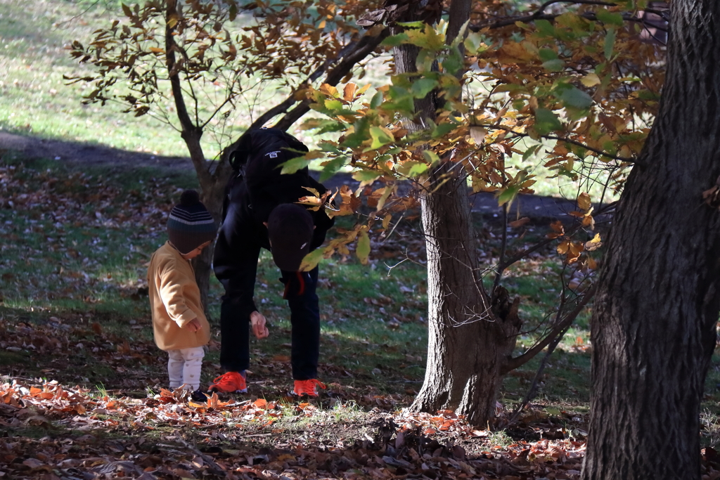 秋を拾う父子