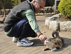 あ～眠くなっちゃう
