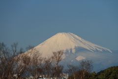 雄姿2