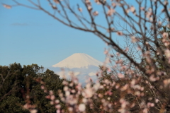 富士遠景２