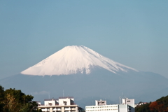 雄景