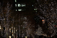 イルミネーションの街３