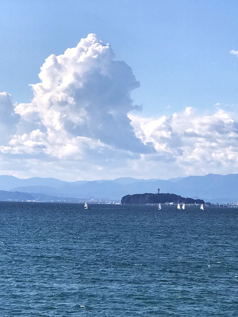 秋なのに