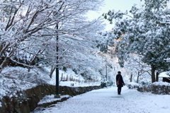雪道の散歩