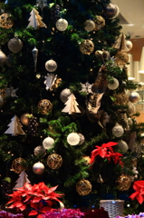 クリスマスウィーク②