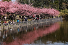 岸辺に憩う