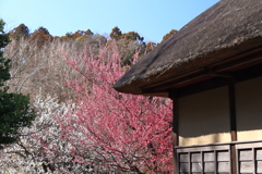春がすぐそこに