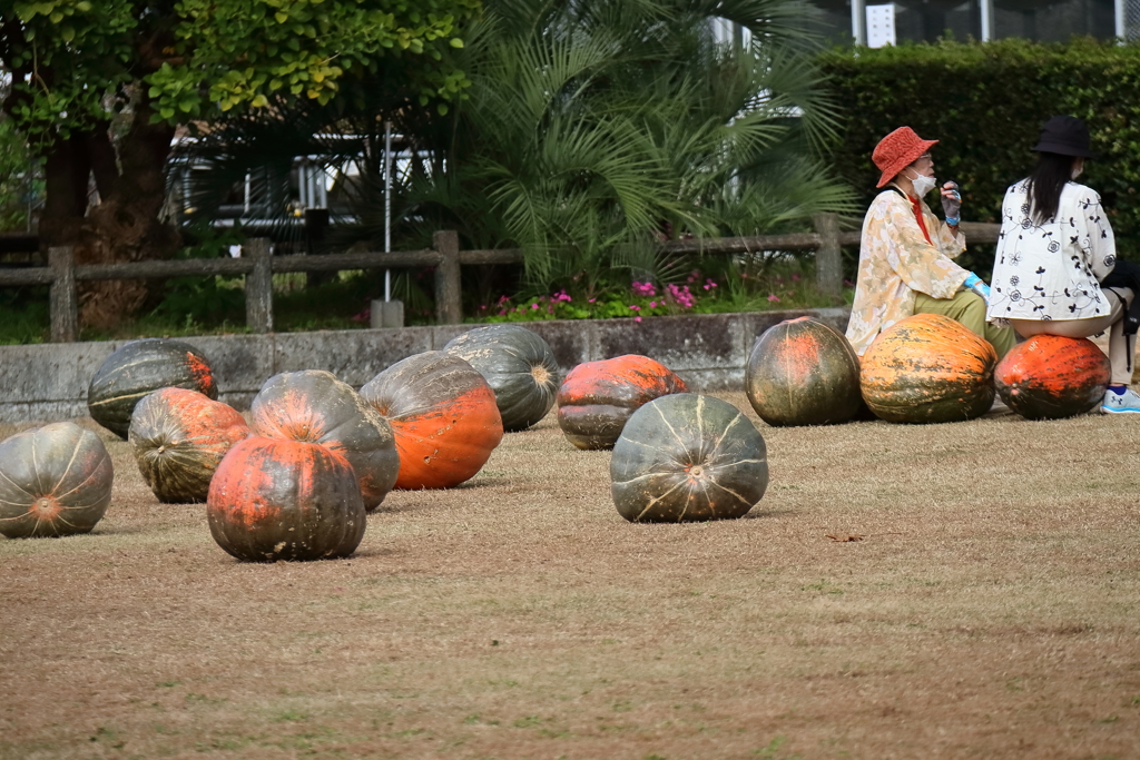 ハロウィンは過ぎたけど
