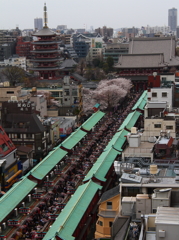 浅草寺遠景