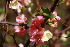 元気を取り戻して1