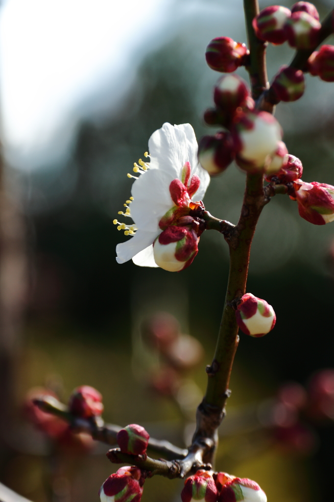 恥ずかしがらないで！