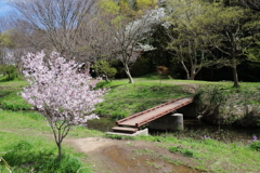 春の風景１
