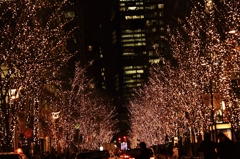 クリスマスウィーク⑤