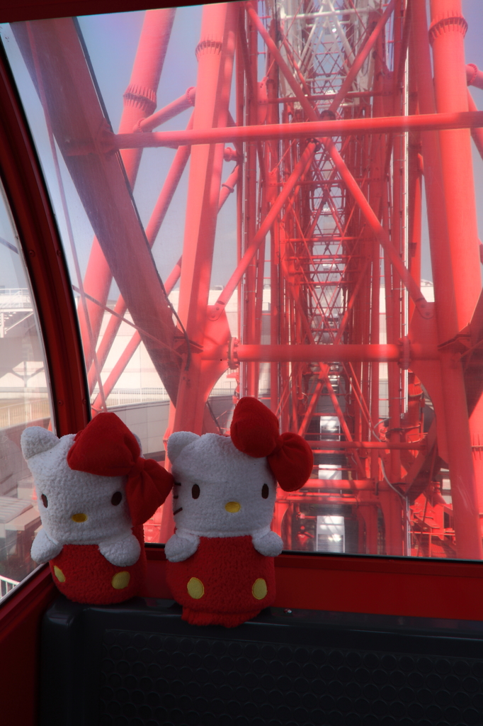 可愛いカップル