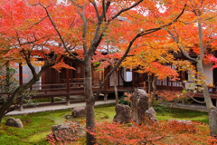 建仁寺錦秋３