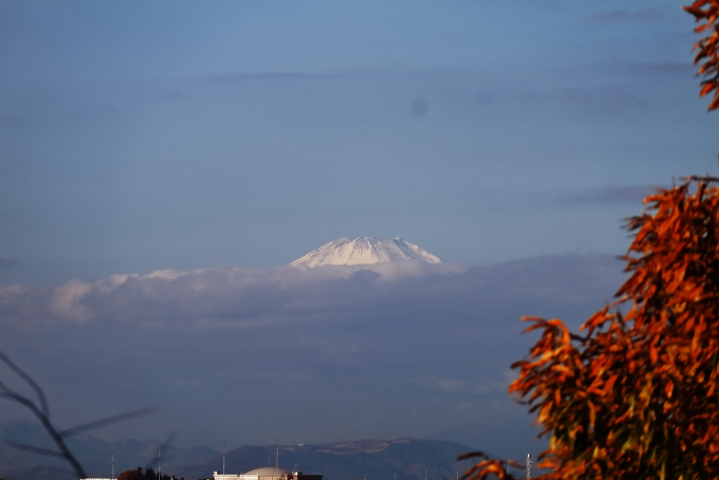 頭を雲の上に出し