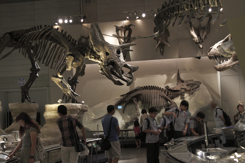 国立科学博物館の恐竜達5