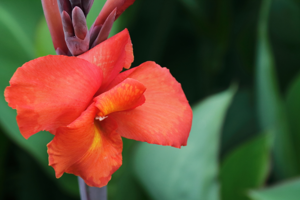 夏の陽を待つ２