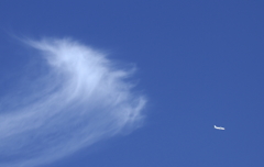 頭上の秋雲